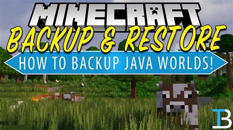 Backup / restore worlds .